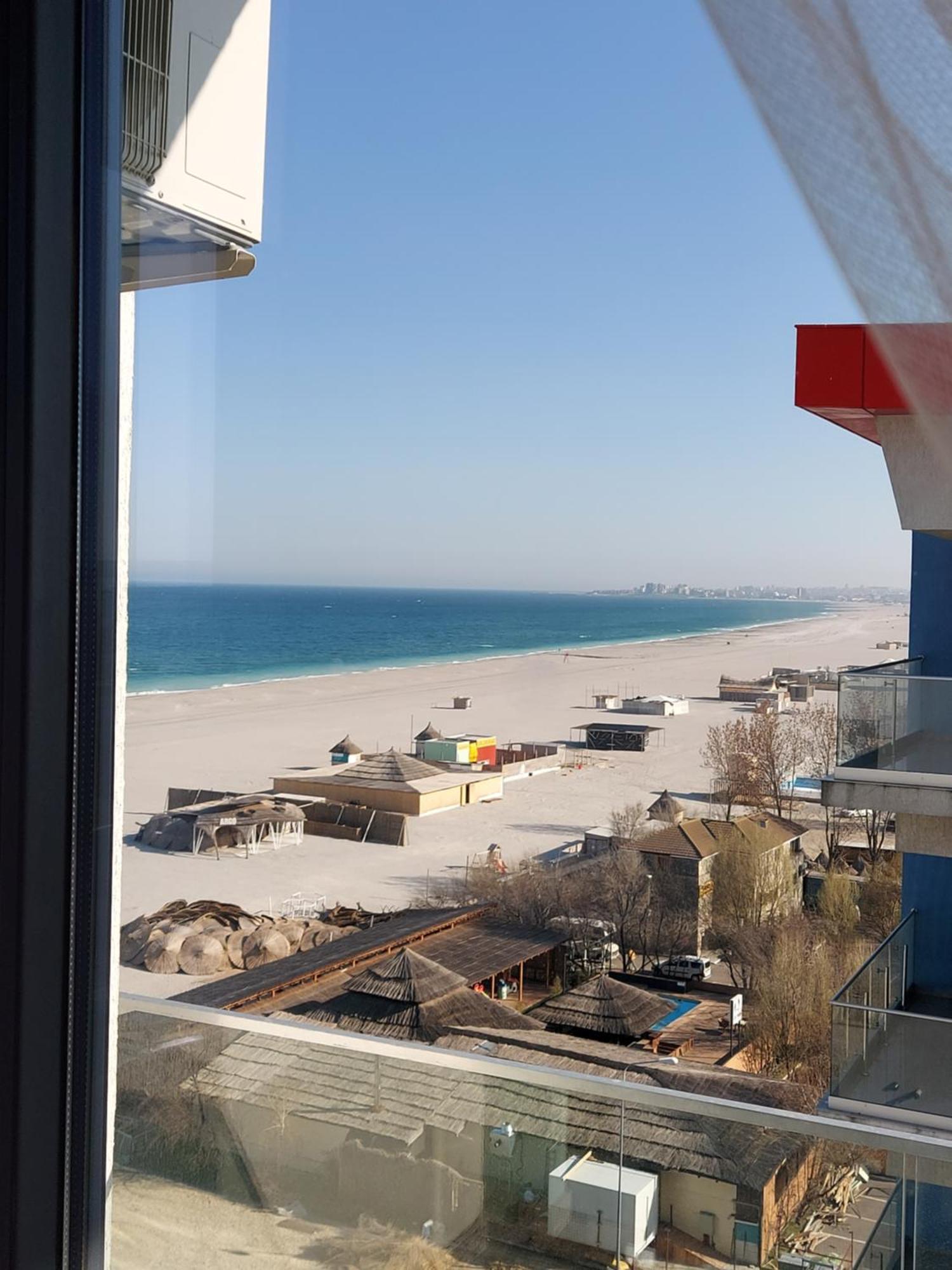 Bluemarina Mamaia